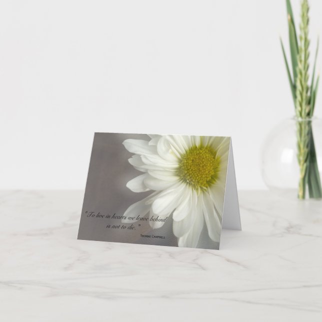 Cartão De Agradecimento Suave Margarida Branca Obrigado pela sua simpatia (Frente)