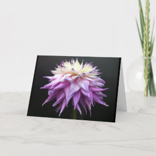Cartão De Agradecimento Sublime White and Lavender Purple Dahlia