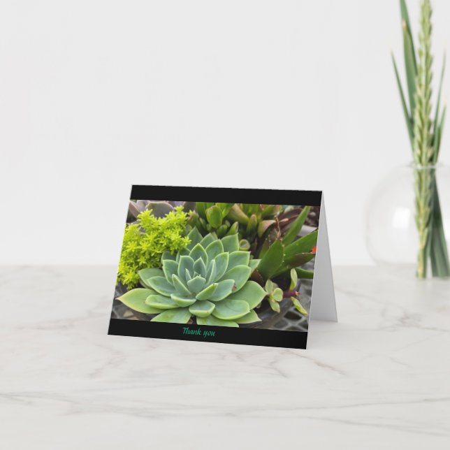 Cartão De Agradecimento Suculente (Frente)