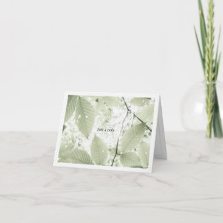 Cartão De Agradecimento Sunlit leaves in New Hampshire (horizontal)