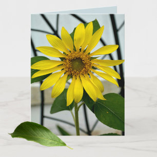 Cartão De Agradecimento Sunny Delicate Sunflower