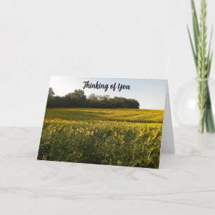 Cartão De Agradecimento Sunny Thoughts Christian Sunflower Card