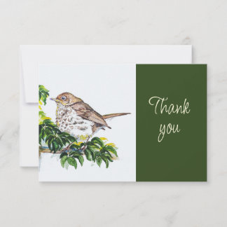 Cartão De Agradecimento Swainson's Thrush Bird Nature WatercolorThank you
