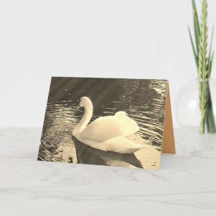 Cartão De Agradecimento Swan na Sépia