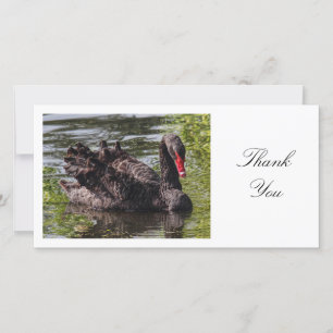 Cartão De Agradecimento Swan Negro - Obrigado
