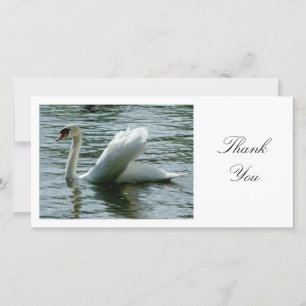 Cartão De Agradecimento Swan - Obrigado
