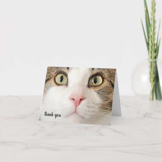 Cartão De Agradecimento Tabby Pet Care Obrigado (Frente)