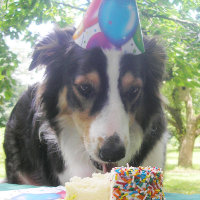 "Ter seu bolo e comê-lo também!"