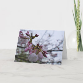 Cartão De Agradecimento Terra Verde