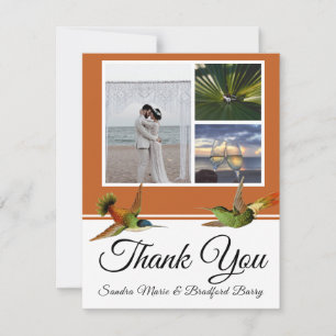 Cartão De Agradecimento Terracotta Hummingbird Foto Colagem