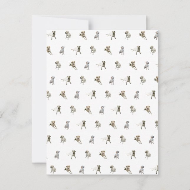 Cartão De Agradecimento Teste padrão de labrador retriever (branco) (Frente)