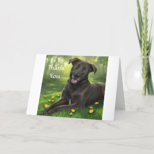 Cartão De Agradecimento Thank You Black Labrador Retriever Greeting Card