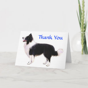 Cartão De Agradecimento Thank You Border Collie Greeting Card - Verse