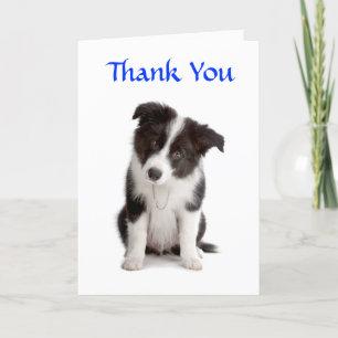Cartão De Agradecimento Thank You Border Collie Puppy Greeting Card