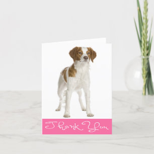 Cartão De Agradecimento Thank You Brittany Spaniel Puppy Dog Note Card