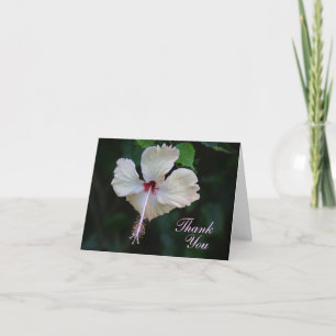 Cartão De Agradecimento Thank You Card