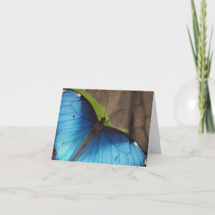 Cartão De Agradecimento Thank you Card, Blue Morpho