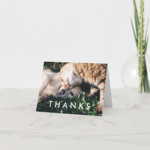 Cartão De Agradecimento Thank You Card with Cat and Dog