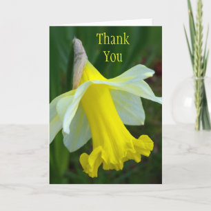 Cartão De Agradecimento Thank You Card - Yellow Daffodil