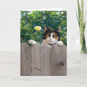 Cartão De Agradecimento Thank You Cat Card Funny Cute Adorable Best