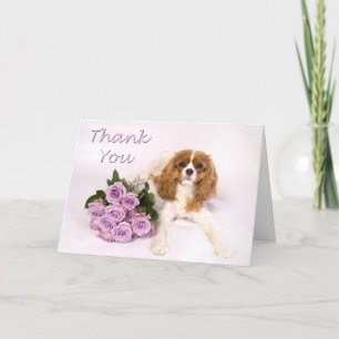 Cartão De Agradecimento Thank You Cavalier King Charles Spaniel Roses