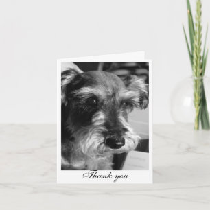 Cartão De Agradecimento Thank you (Charmin)