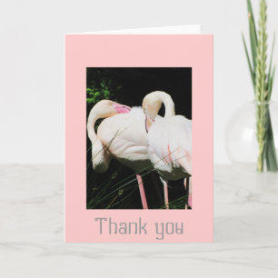 Cartão De Agradecimento Thank you Flamingo bird greeting card