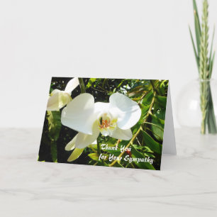 Cartão De Agradecimento Thank You for Your Sympathy Card - White Orchid