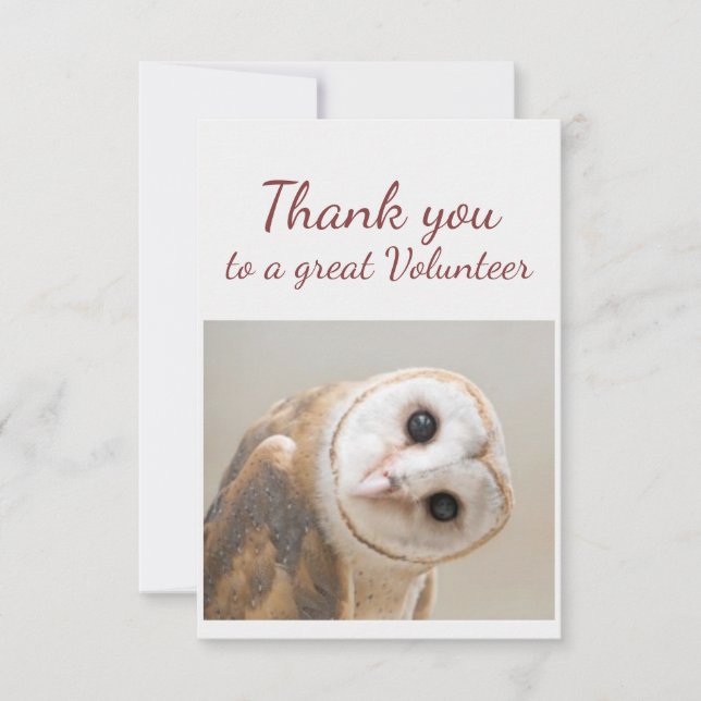 Cartão De Agradecimento  Thank You Fun Curious Barn Owl Bird Volunteer (Frente)