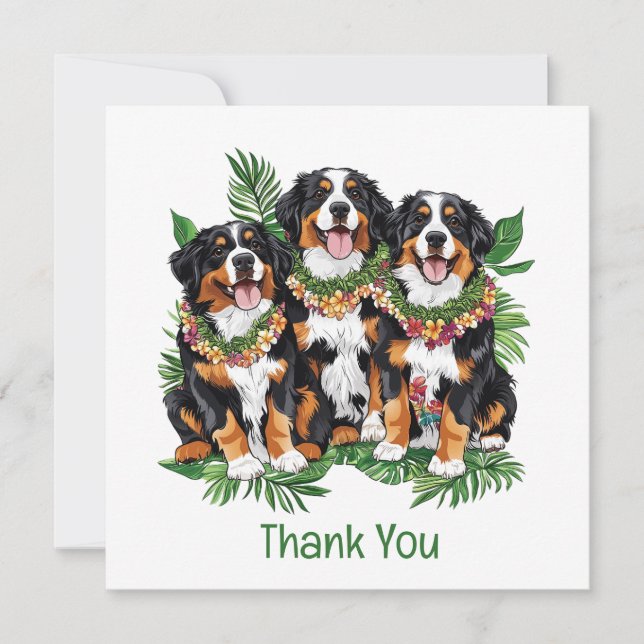 Cartão De Agradecimento Thank You Hawaiian Bernese Mountain Dogs (Frente)