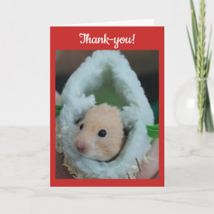 Cartão De Agradecimento Thank-You Holiday Hamster