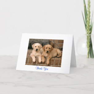 Cartão De Agradecimento Thank You Labrador Retriever Puppies Greeting Card