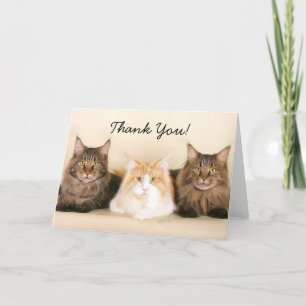 Cartão De Agradecimento Thank You Maine Coon Cats greeting card