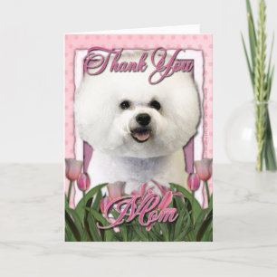 Cartão De Agradecimento Thank You - Pink Tulips - Bichon Frise