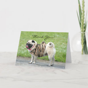 Cartão De Agradecimento Thank You Pug greeting card
