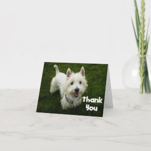 Cartão De Agradecimento Thank You West Highland Terrier Puppy Dog Card
