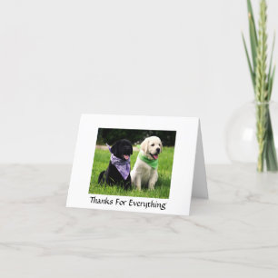Cartão De Agradecimento Thanks Labrador Retriever Puppies Greeting Card