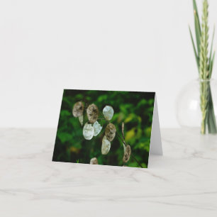 Cartão De Agradecimento The Color of Money note card