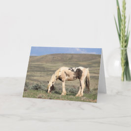 Cartão De Agradecimento Thor of McCullough Peaks