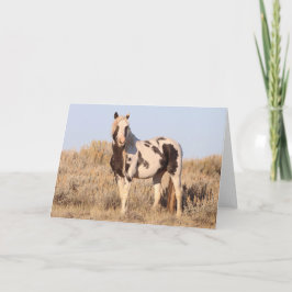 Cartão De Agradecimento Thor of McCullough Peaks Greeting Card