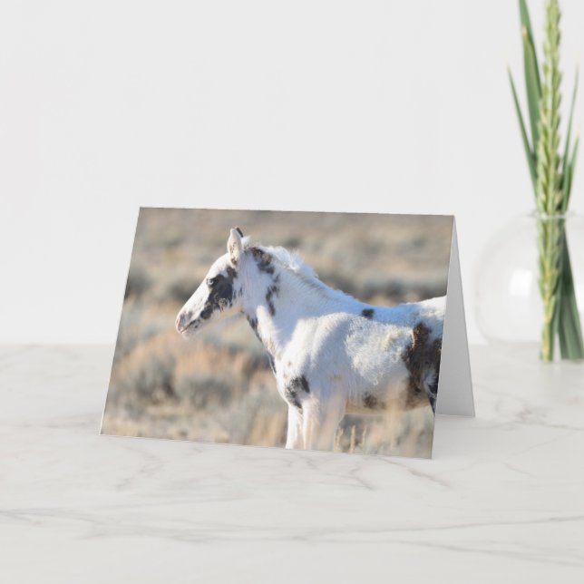 Cartão De Agradecimento Thora dos Picos McCullough (Frente)