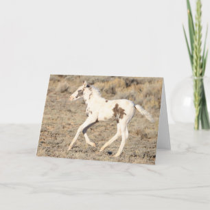 Cartão De Agradecimento Thora dos Picos McCullough