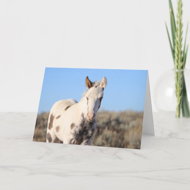 Cartão De Agradecimento Thora dos Picos McCullough (Frente)