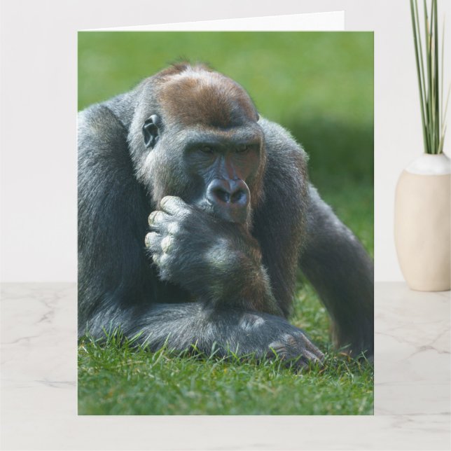 Cartão De Agradecimento Thumb Sucking Gorilla (Frente)