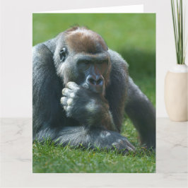 Cartão De Agradecimento Thumb Sucking Gorilla