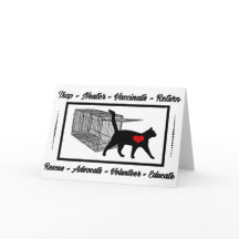 TNR Cat Resgate Trap Neuter Return Adote Volunteer