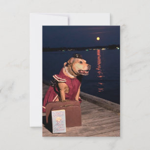 Cartão De Agradecimento Traveler Sailor Dog Encantador