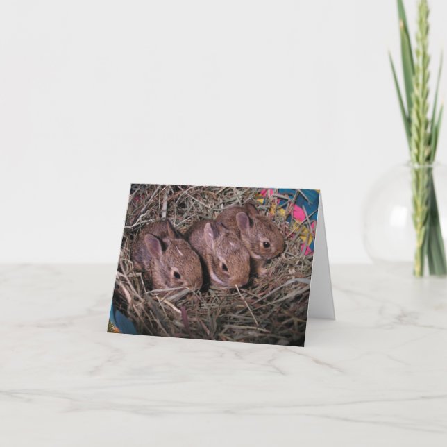 Cartão de Agradecimento Três em Fila (Frente)