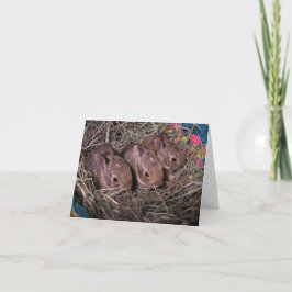 Cartão De Agradecimento Três Em Uma Fila