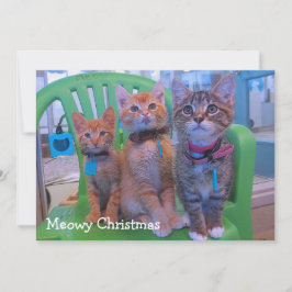 Cartão De Agradecimento Três gatinhos Meowy